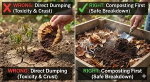 Are you dumping used coffee grounds on your plants? Stop! A Forest Engineer explains the science of caffeine toxicity, hydrophobic soil crusts, and how to actually use coffee as fertilizer safely.